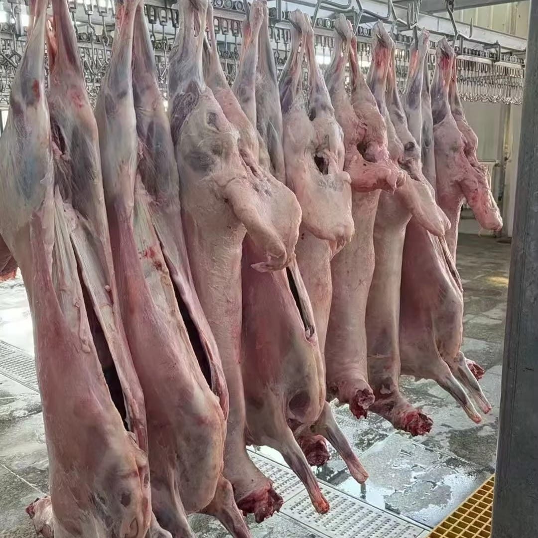 Row of skinned sheep and goat carcasses hanging from stainless steel rails in a clean, orderly processing hall